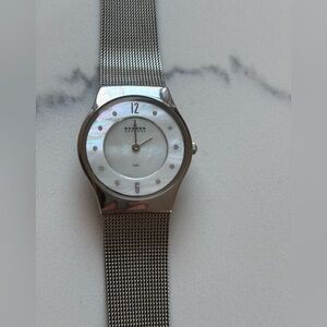Skagen Silver Mesh Women's Watch: Mother of Pearl Face